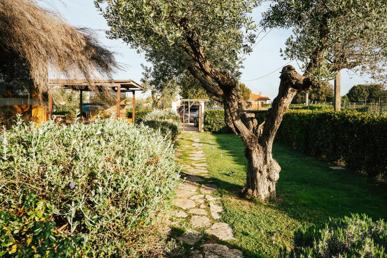 Agriturismo Sweet Cottage Marina di Grosseto Ngoại thất bức ảnh