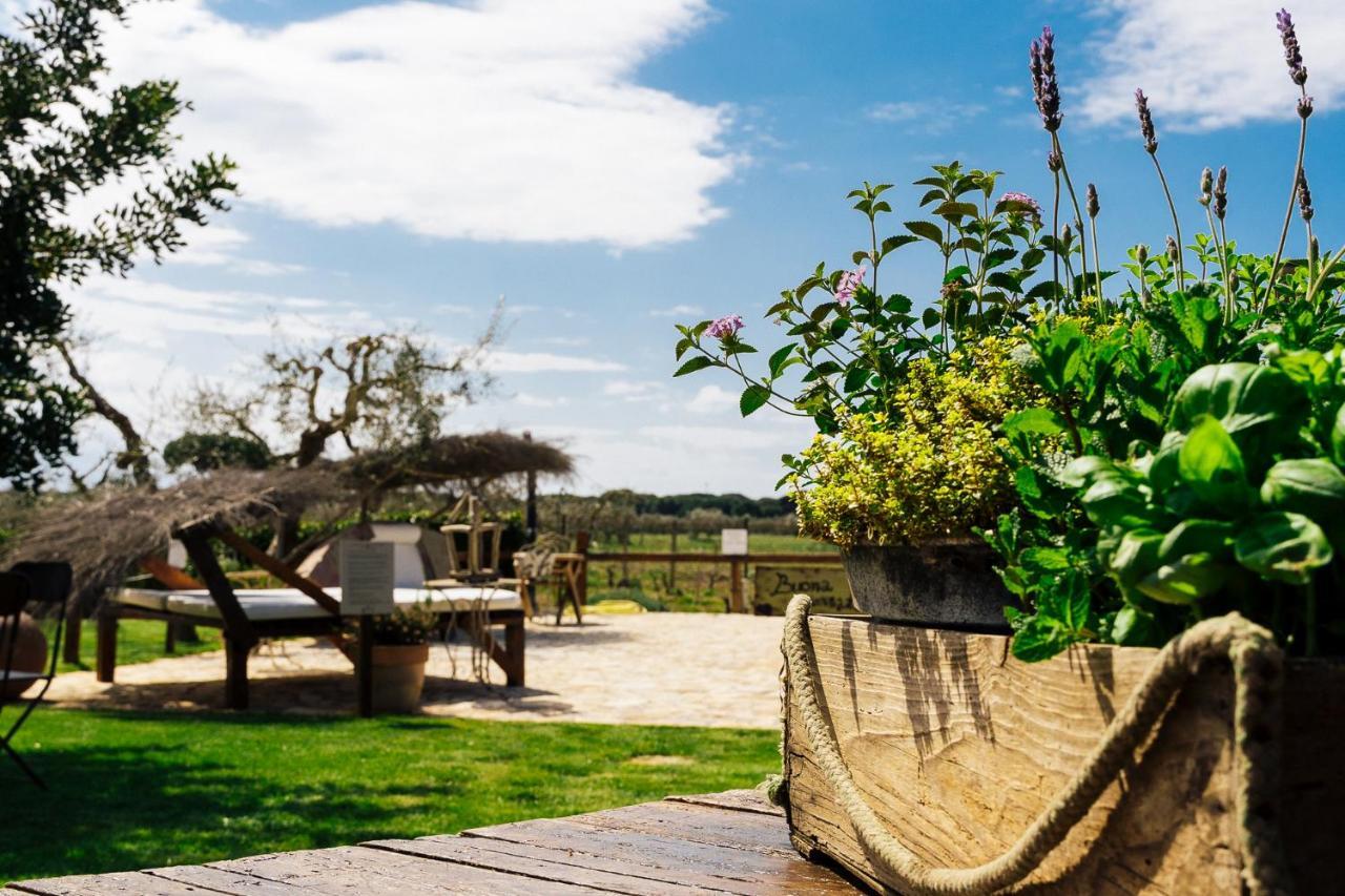 Agriturismo Sweet Cottage Marina di Grosseto Ngoại thất bức ảnh