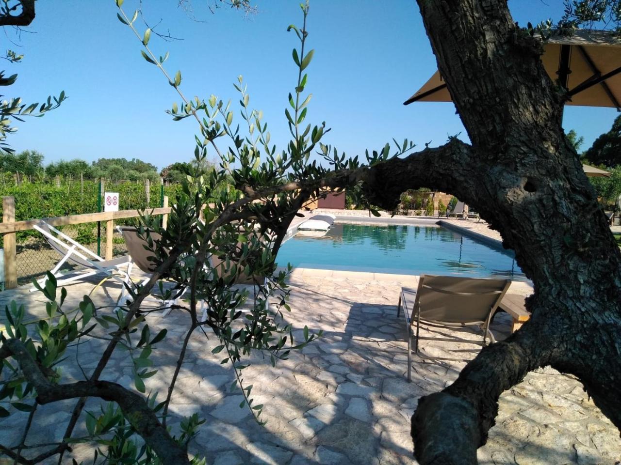 Agriturismo Sweet Cottage Marina di Grosseto Ngoại thất bức ảnh